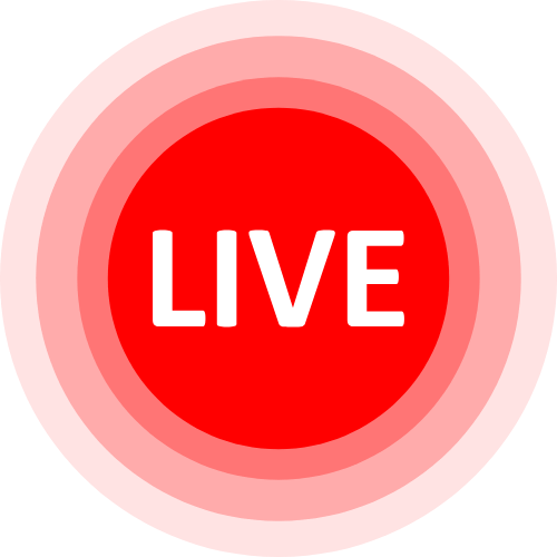 Gaylivecams